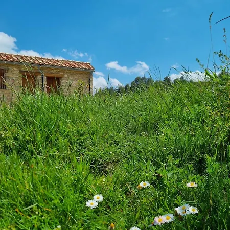 Haiku Σπίτι διακοπών Bojar