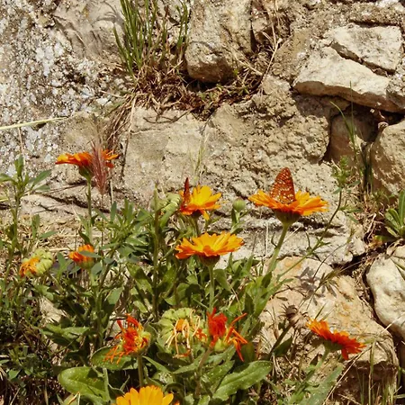 Holiday home Haiku Bojar